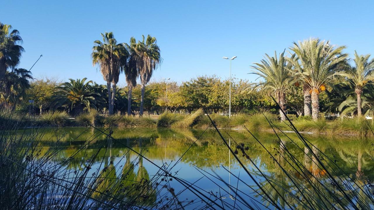 Sol Y Playa En San Juan Alicante Kültér fotó